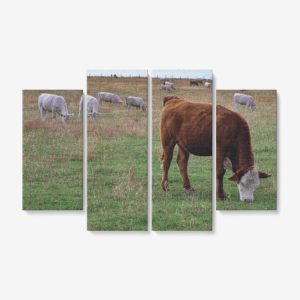 Grazing Cows 4 Piece Canvas Wall Art for Living Room CL1211 4 x 12 x 32 / Canvas Only(rolled) Official COW PRINT Merch
