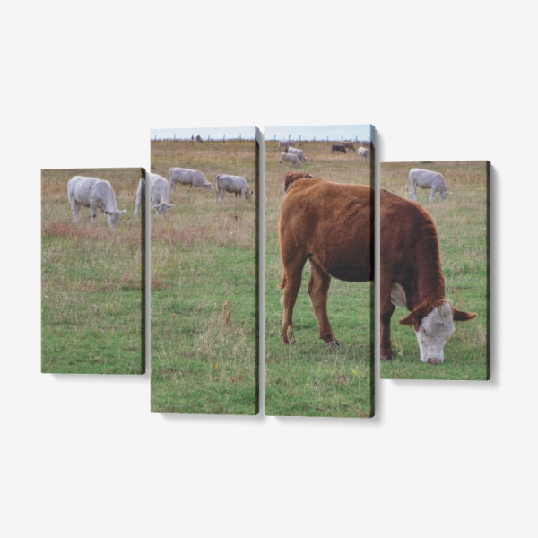 4 x 12 x 32 / Framed(ready to hang) Official COW PRINT Merch