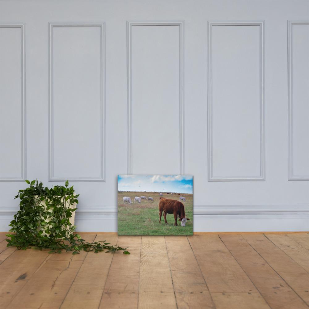 grazing cattle canvas 5 - The Cow Print