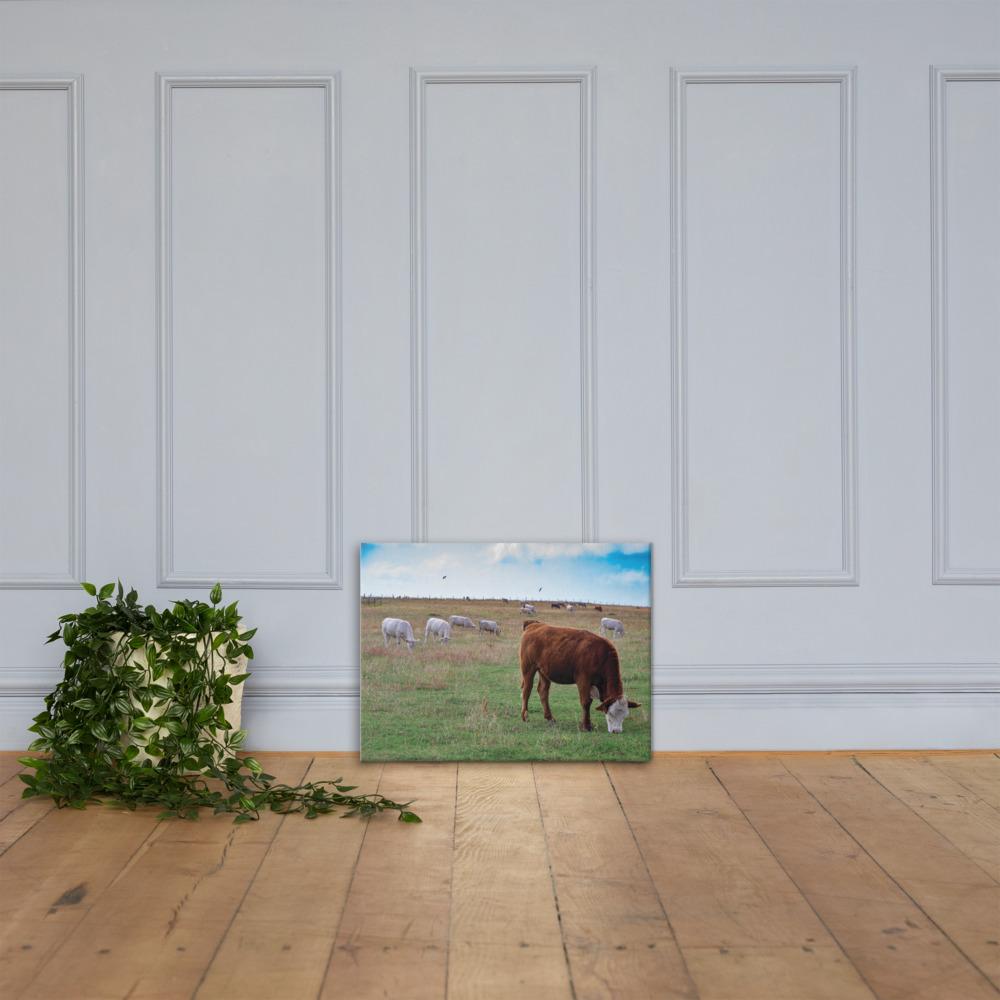 grazing cattle canvas 8 - The Cow Print